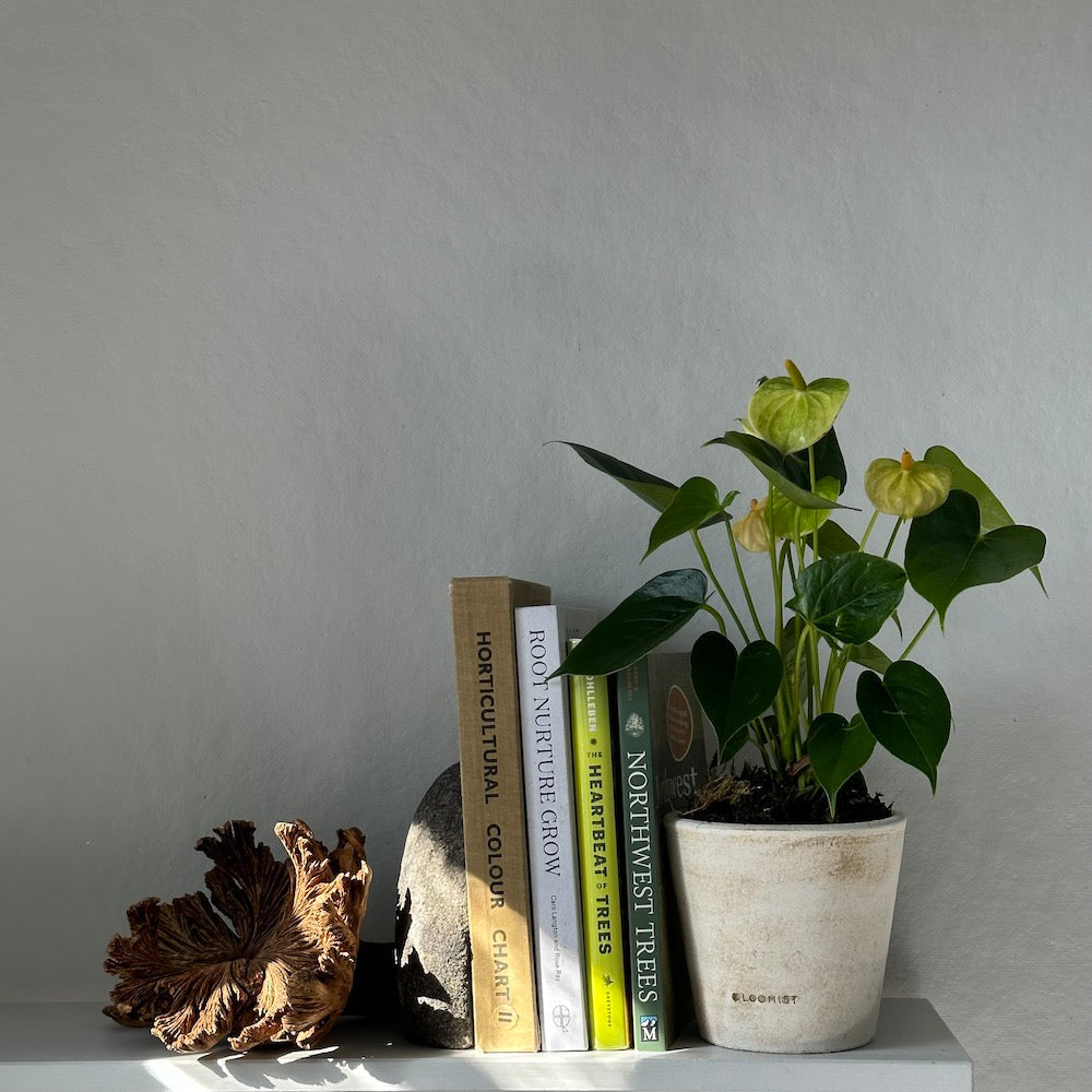Stone Bookends, Set of 2