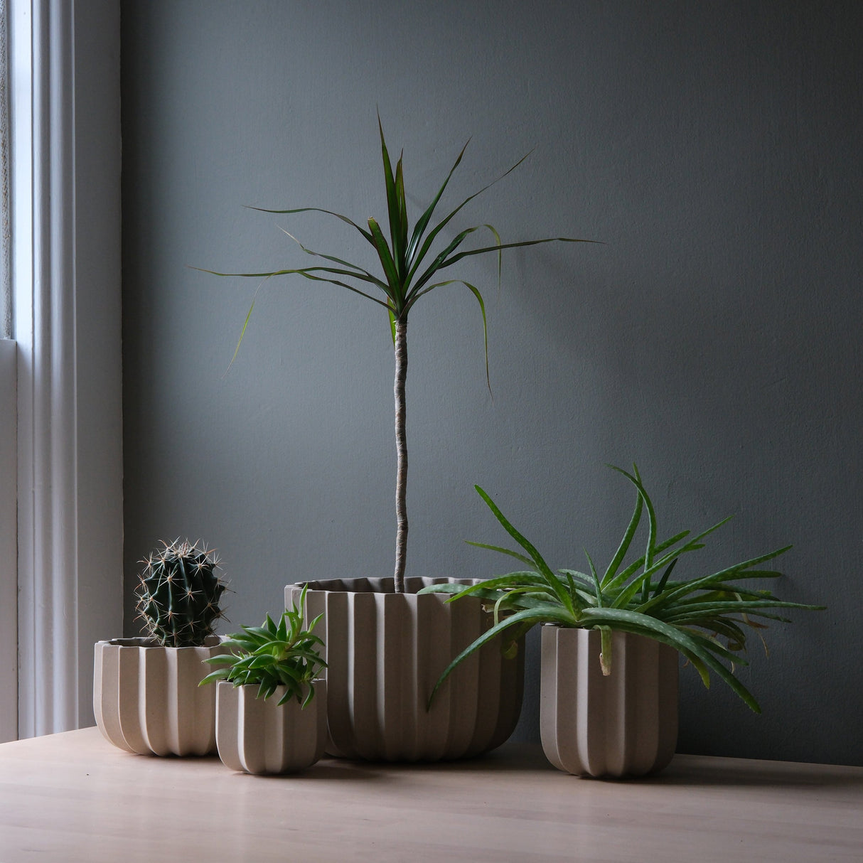 Wrap Planter - 4 sizes