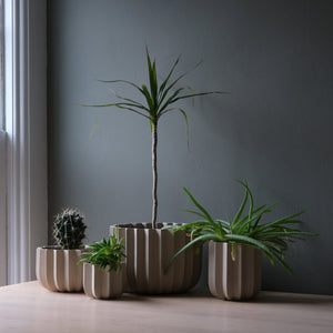 Wrap Planter - 4 sizes
