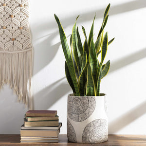 Mitropoliya White Planter