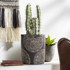 Krivodol Black Planter