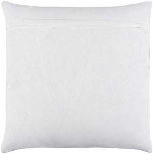 Reichraming Peach Pillow Cover