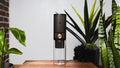 Timemore Ice Dripper
