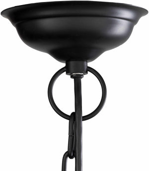 Xenia Modern Ceiling Lighting