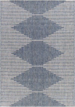 Stephan Navy Outdoor Rug