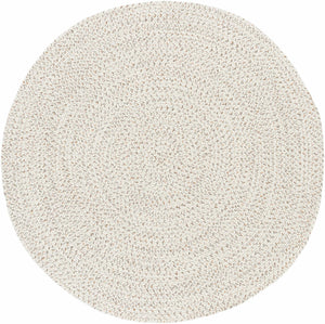 Beige Braided Faux Jute Rug