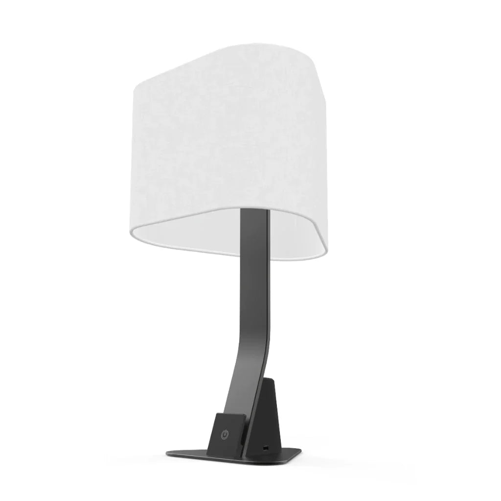 Brooklyn USB LED Desk Light