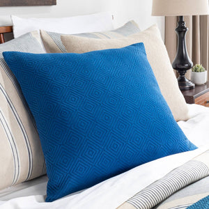 Ichtegem Bright Blue Pillow Cover