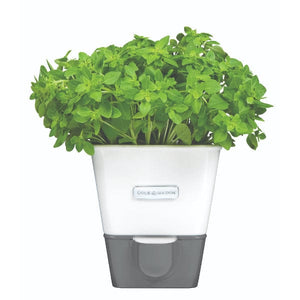 Cole & Mason Burwell Self-Watering Potted Herb Keeper