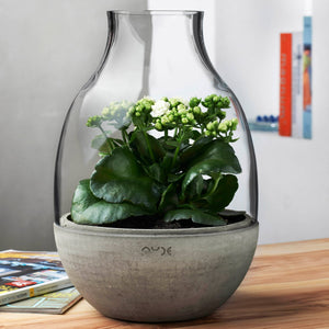 Eden Mini Terrarium Clear with Moulded Concrete Base