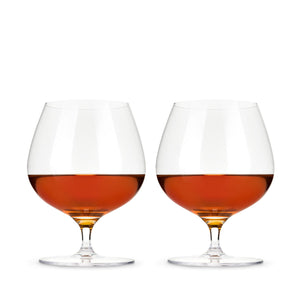 Raye Crystal Wingback Brandy Glasses Set of 2