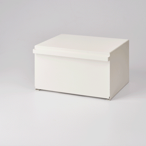 Bread Box - Steel