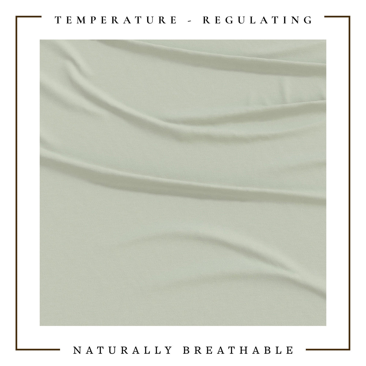 4-Piece Jersey Sheet - Carmen Collection