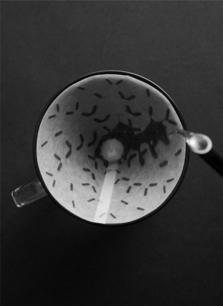 Sibarist Graycano Special Edition Fast Cone Filter