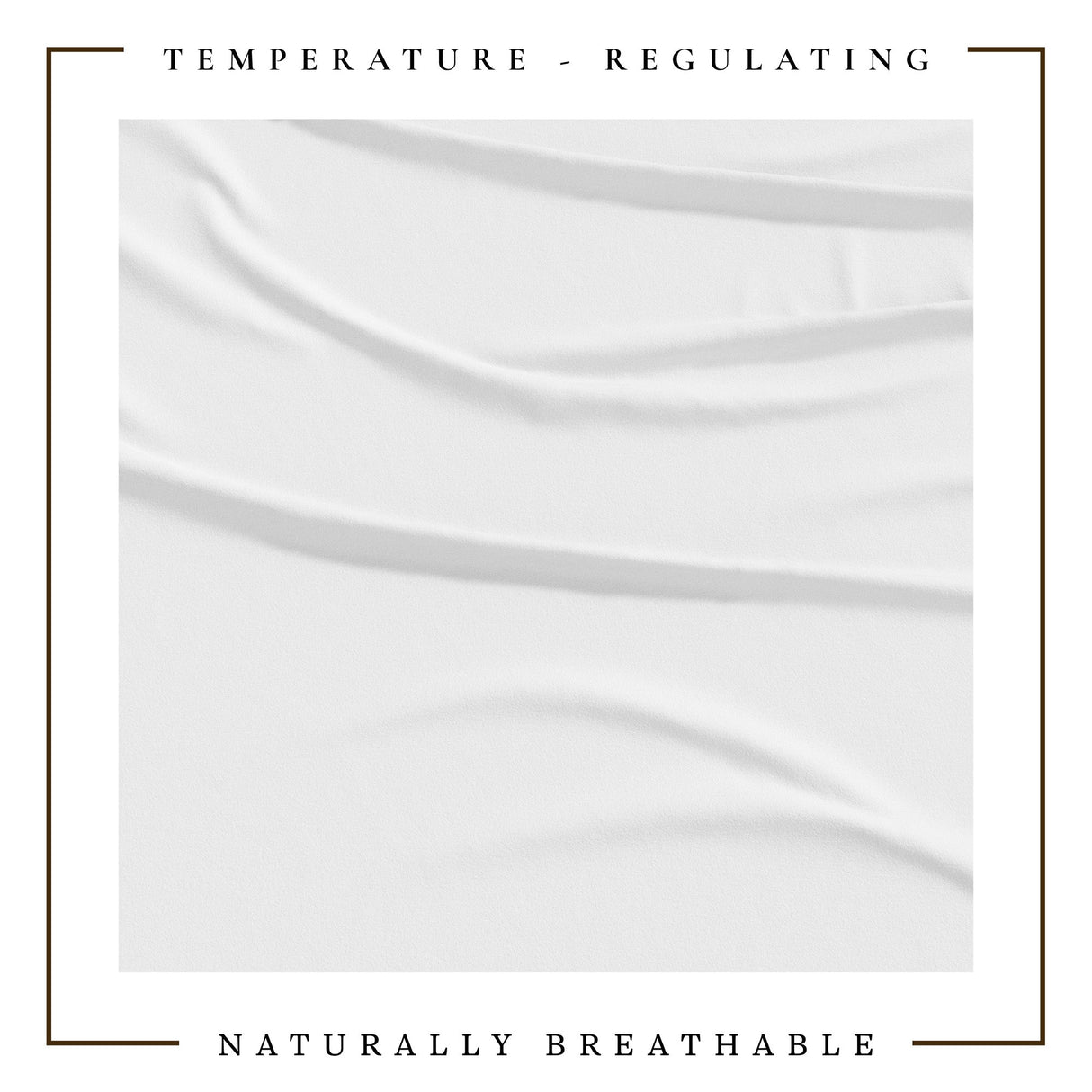 4-Piece Jersey Sheet - Carmen Collection