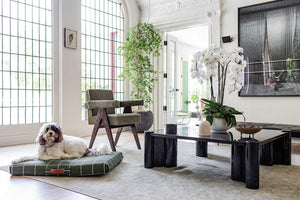 Hunter Green Grid | Dog Bed or Bed Cover