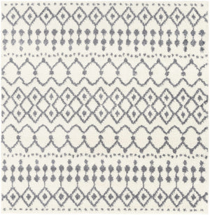 White Gray Navassa Rug - Promo