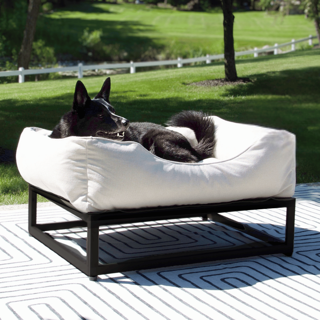 The FÜZI Elevated Dog Bed