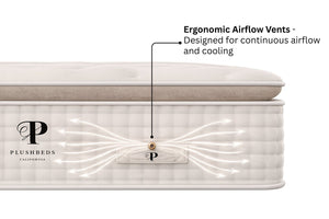 Organic Mattress - The Organic Bliss Pillowtop