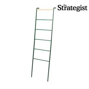 Leaning Storage Ladder (63" H)  - Steel