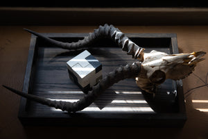 Brave New Cube