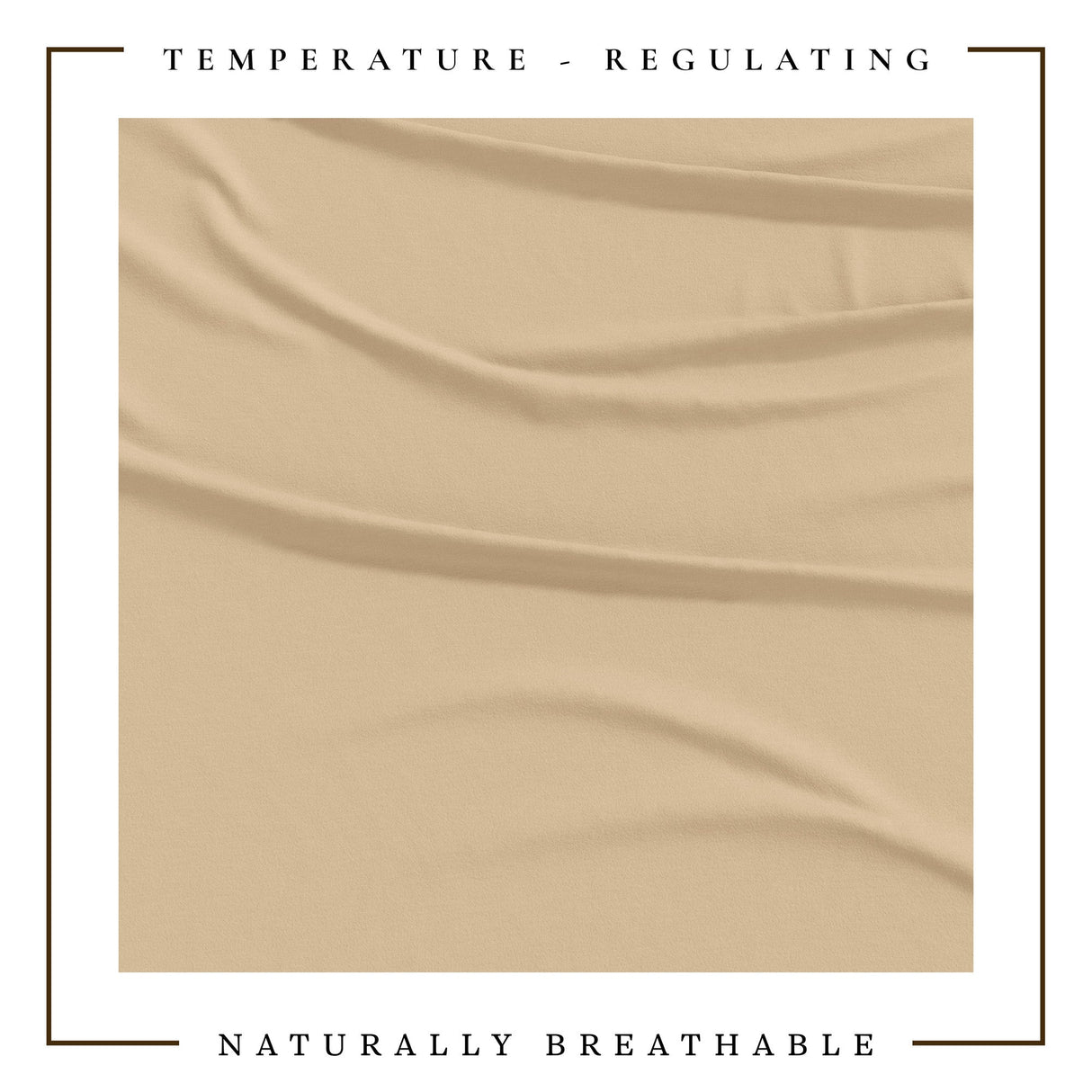 4-Piece Jersey Sheet - Carmen Collection