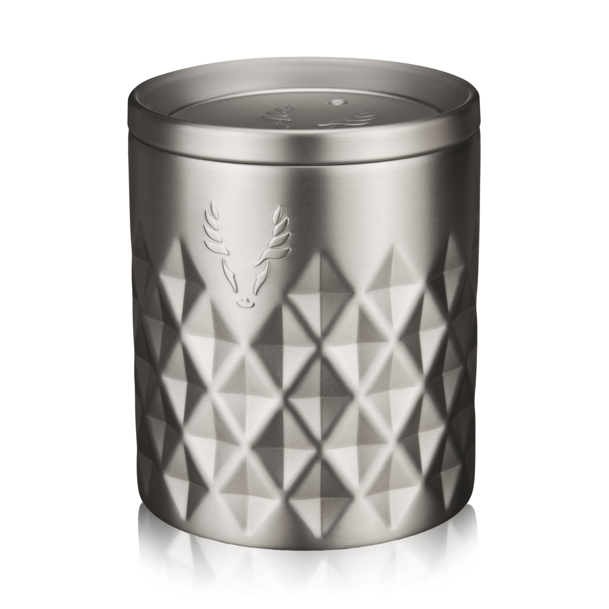 Paragon Stainless Steel Rocks Tumbler in Platinum