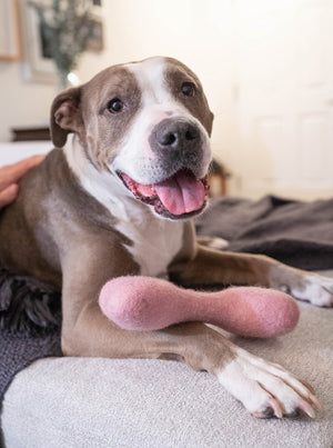 CLASSIC WOOLBONE DOG TOY