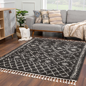 Thetford Black Berber Shag Rug - Clearance