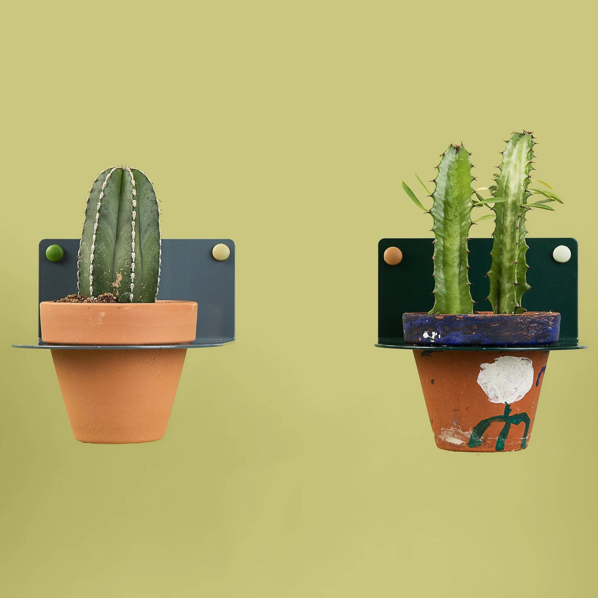 4" Plant Holder for Wall