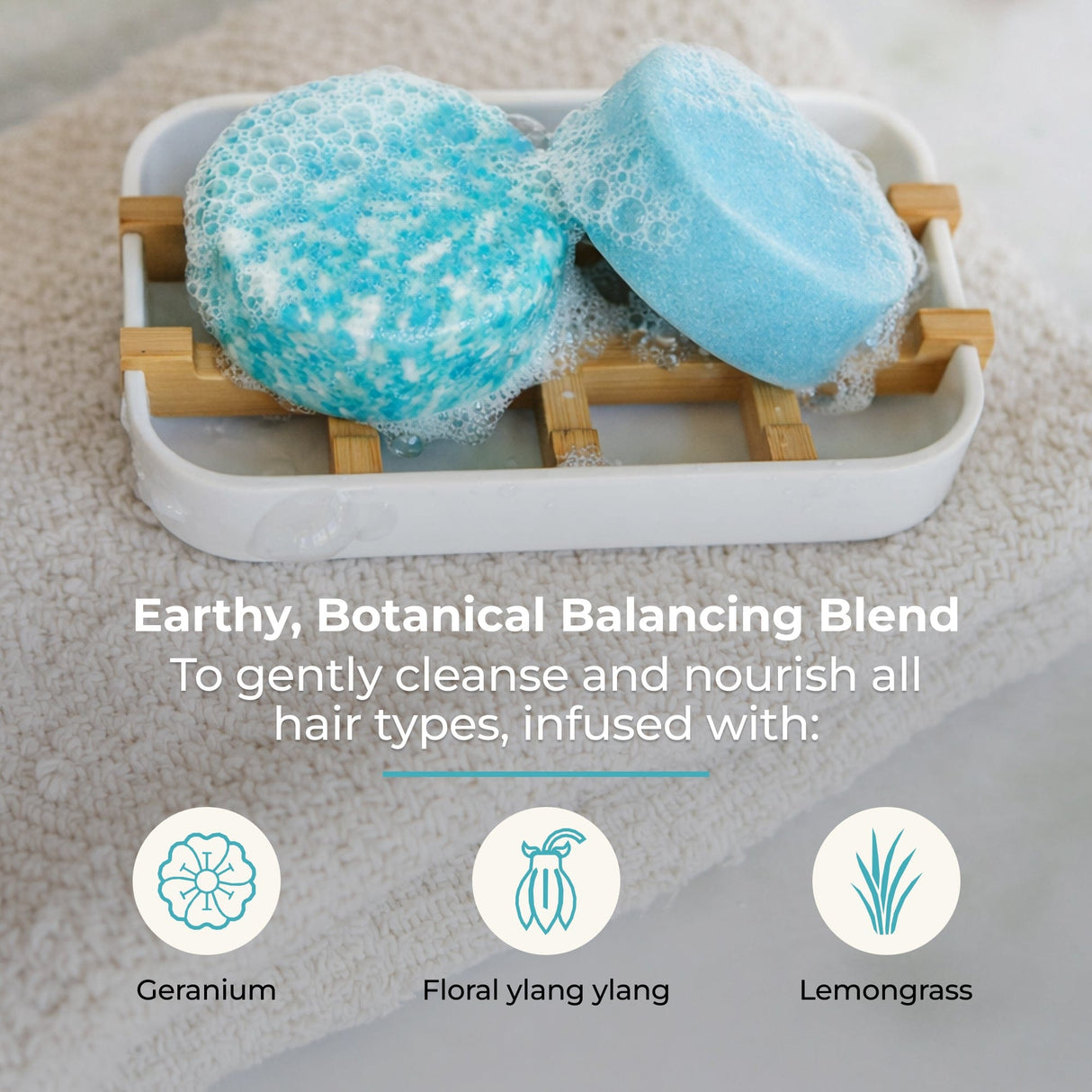 Shampoo & Conditioner Bar Duo