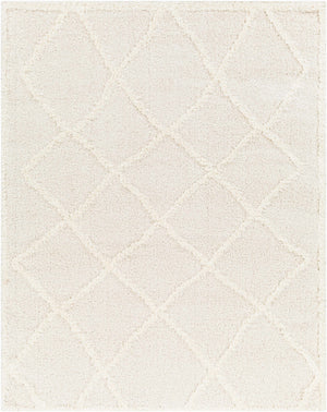 Daube Area Rug - Clearance