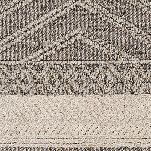 Areli Beige / Brown Outdoor Rug