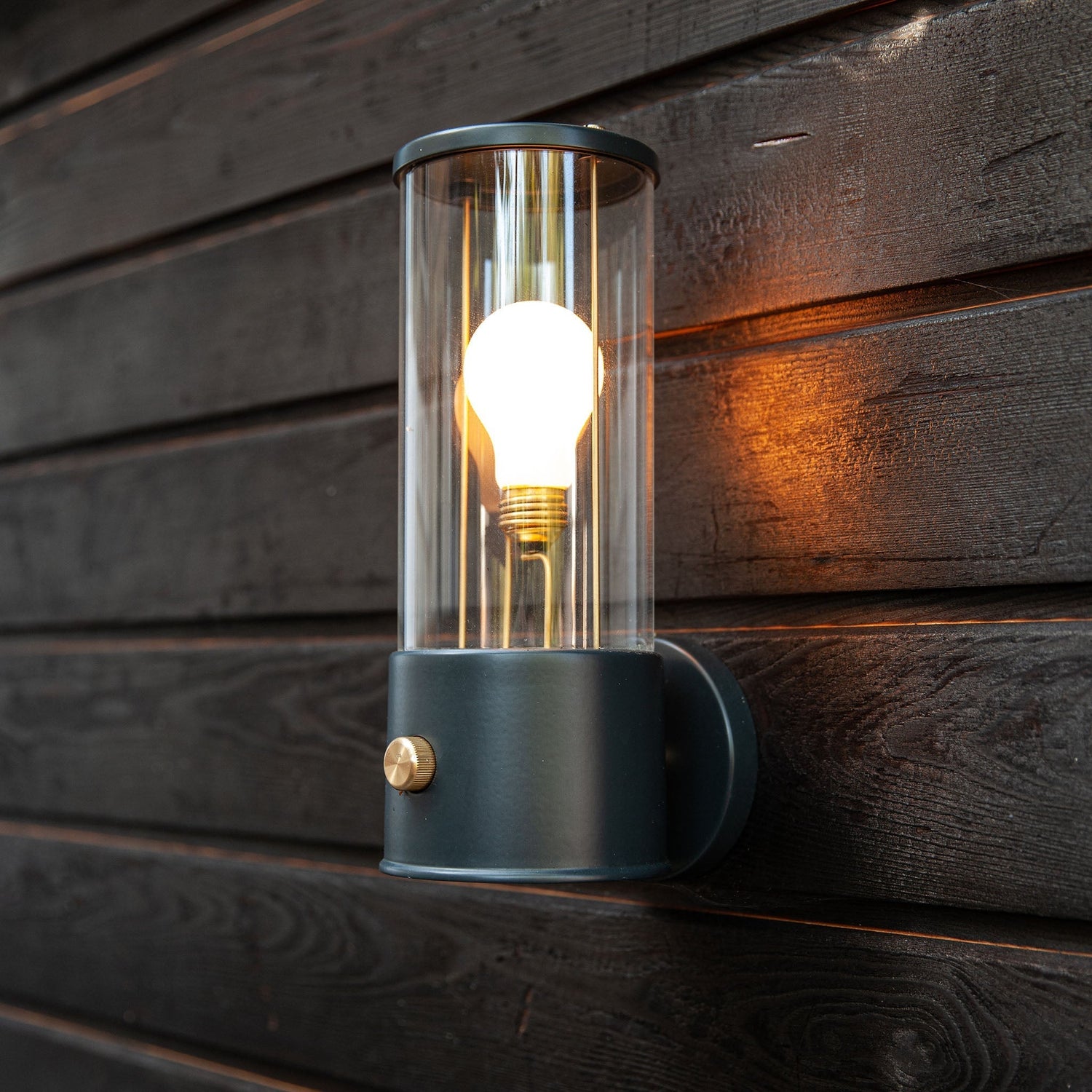 The Muse Wall Light in Hackles Black