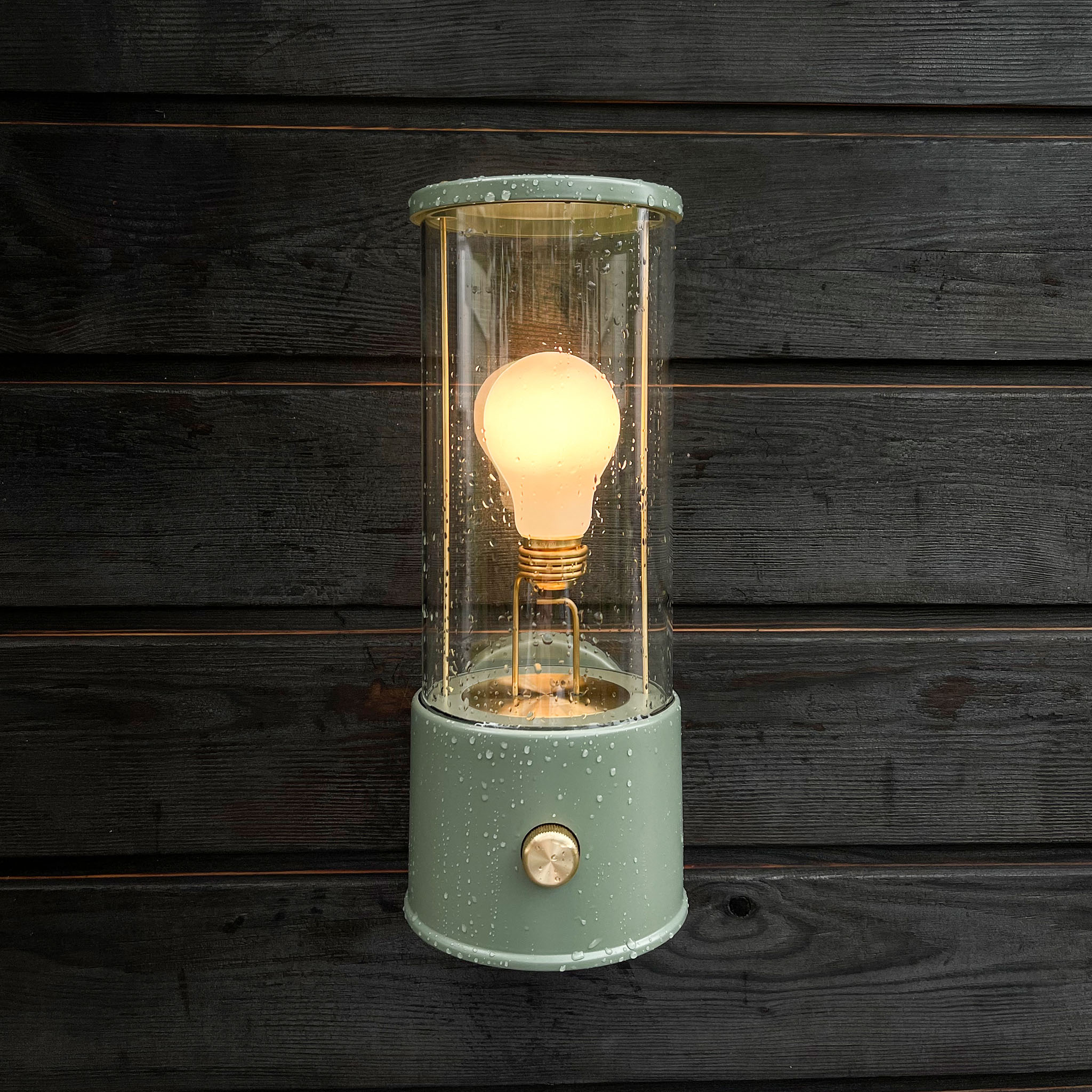 Tala The Muse Bulb