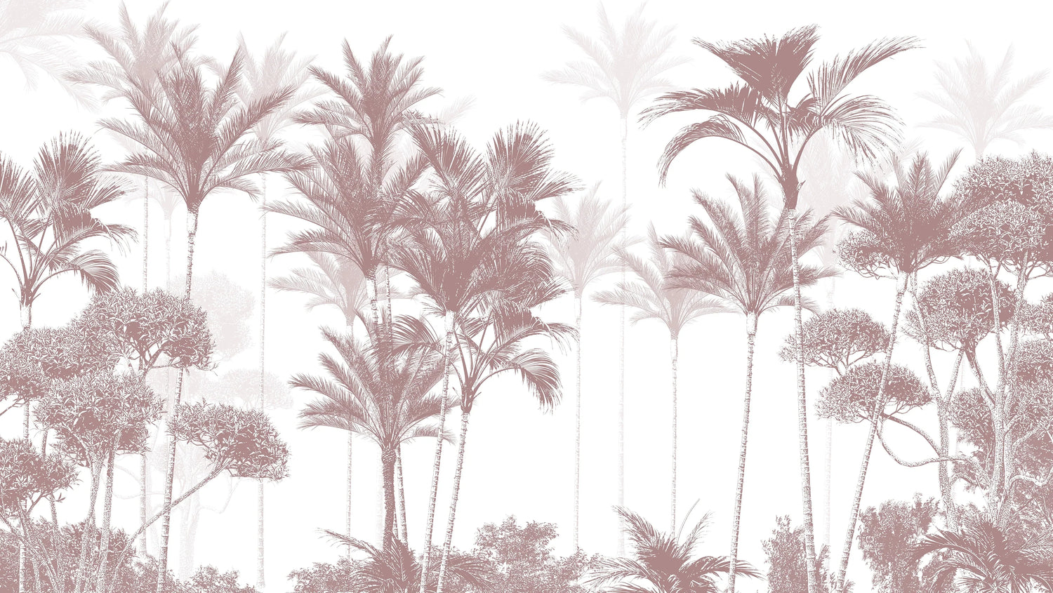 Foggy Palm Forest Wallpaper - Tropical Wallpaper Mural