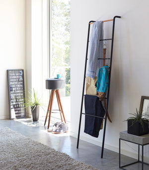 Leaning Storage Ladder (63" H)  - Steel