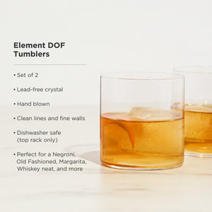 Raye Element Crystal Tumblers Set of 2