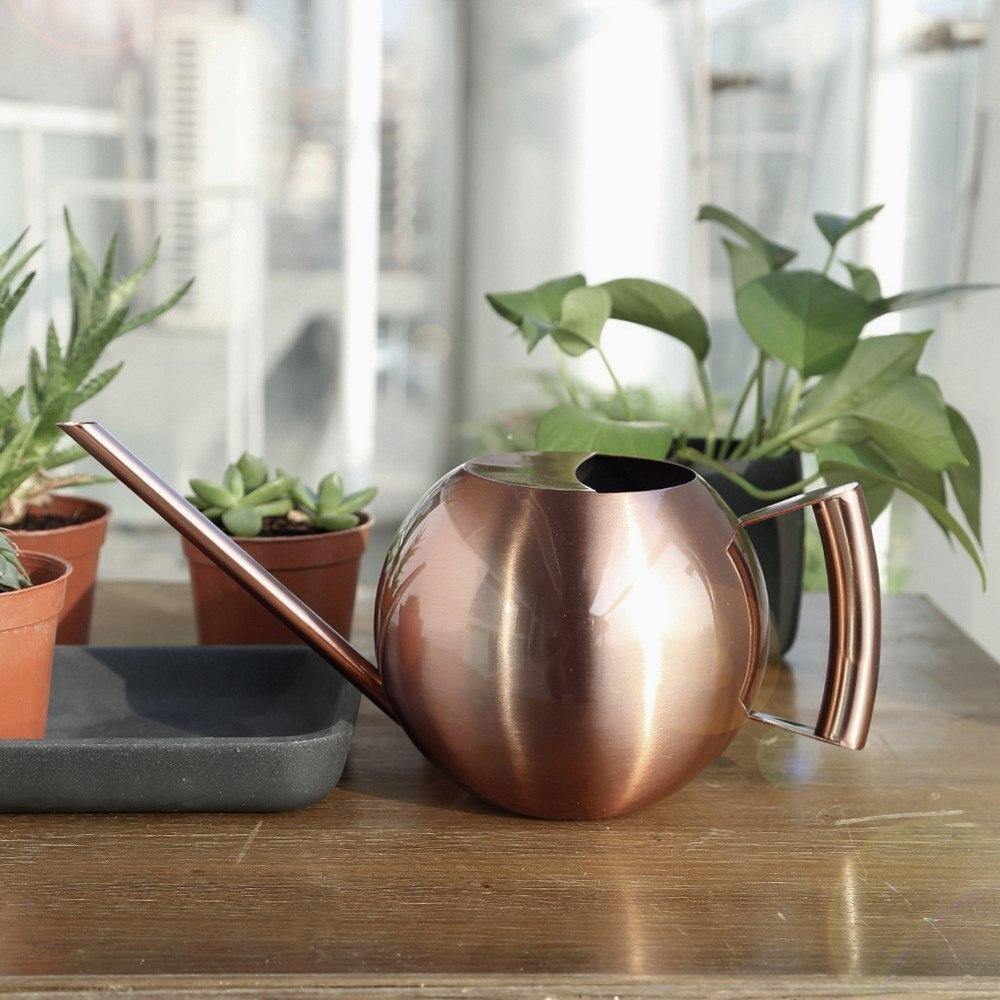 Spherical Gooseneck Stainless Steel Watering Can RosyBrown | Sage & Sill
