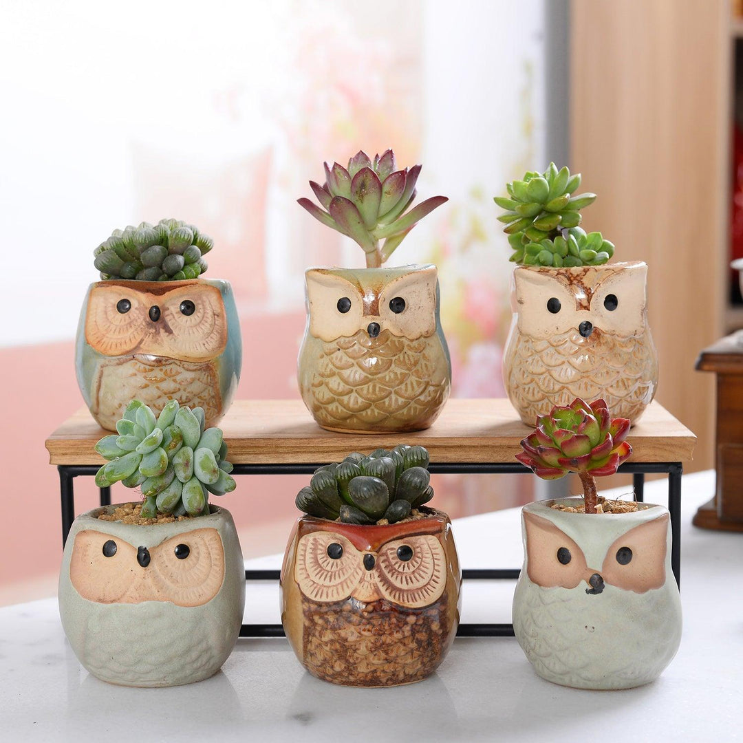 6-Piece Mini Owl Ceramic Succulent Planter Pots | Sage & Sill