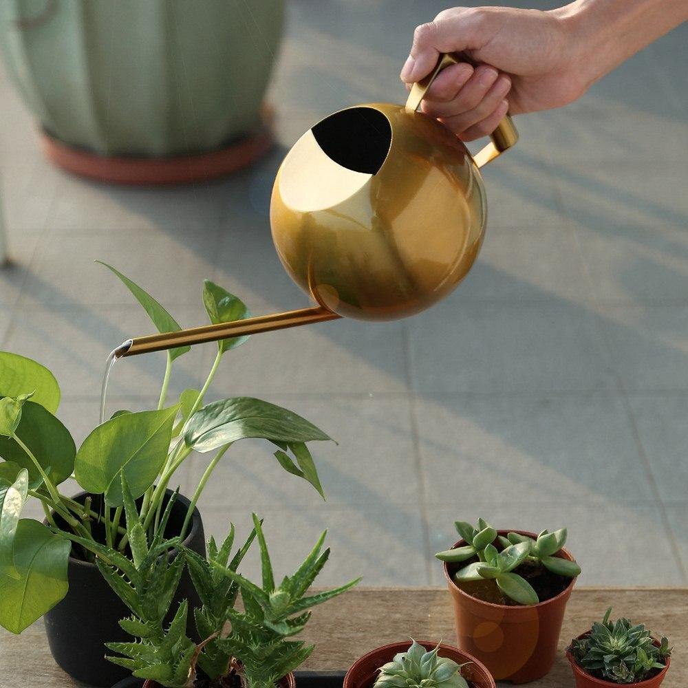 Spherical Gooseneck Stainless Steel Watering Can | Sage & Sill