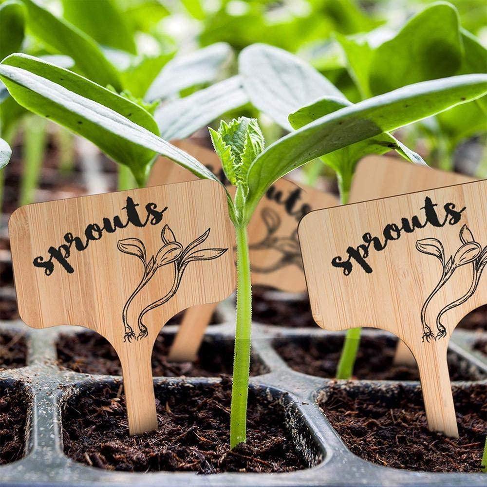 OwnGrown Wooden Plant Markers: 60 Plant Name Tags & Marker Pen, Wooden Sign  - Food 4 Less