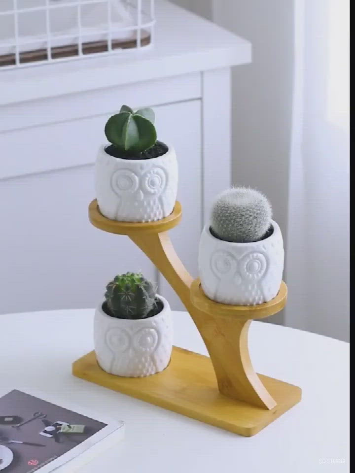 Tiered Ceramic Owl Succulent Planters with Bamboo Shelf