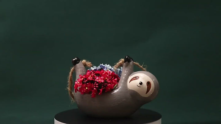 Maceta suculenta colgante de cerámica Sloth