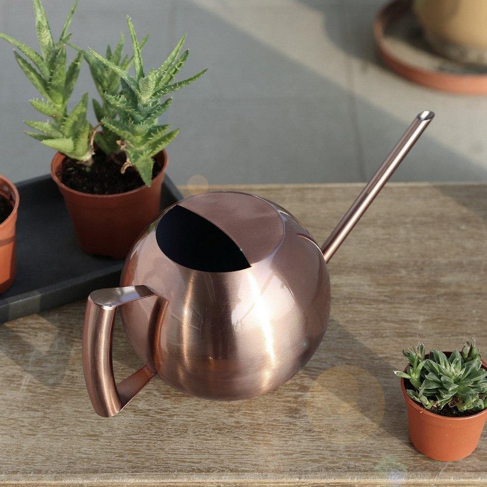 Spherical Gooseneck Stainless Steel Watering Can – Sage & Sill