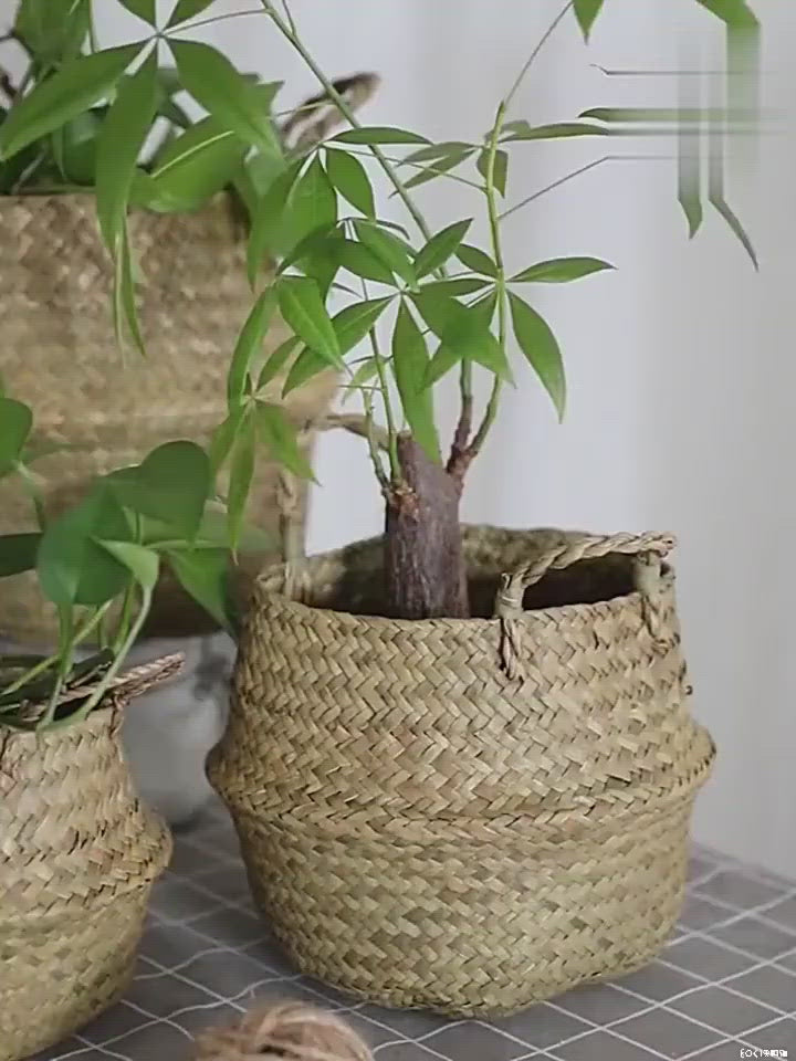 Handmade Rattan Planter or Storage Basket with Handles