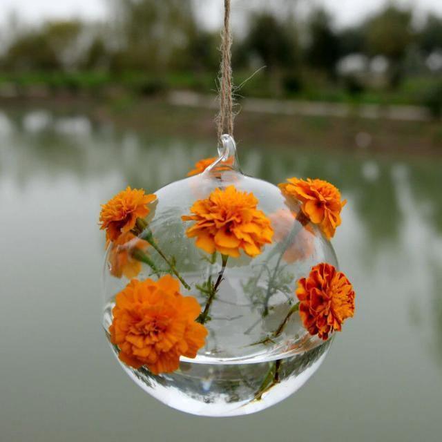 Hanging Glass Ball Terrarium Vase | Sage & Sill