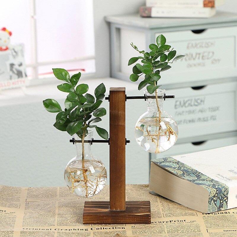 Glass Propagation Vase with Wooden Stand | Vertical Plant Holder Sage &