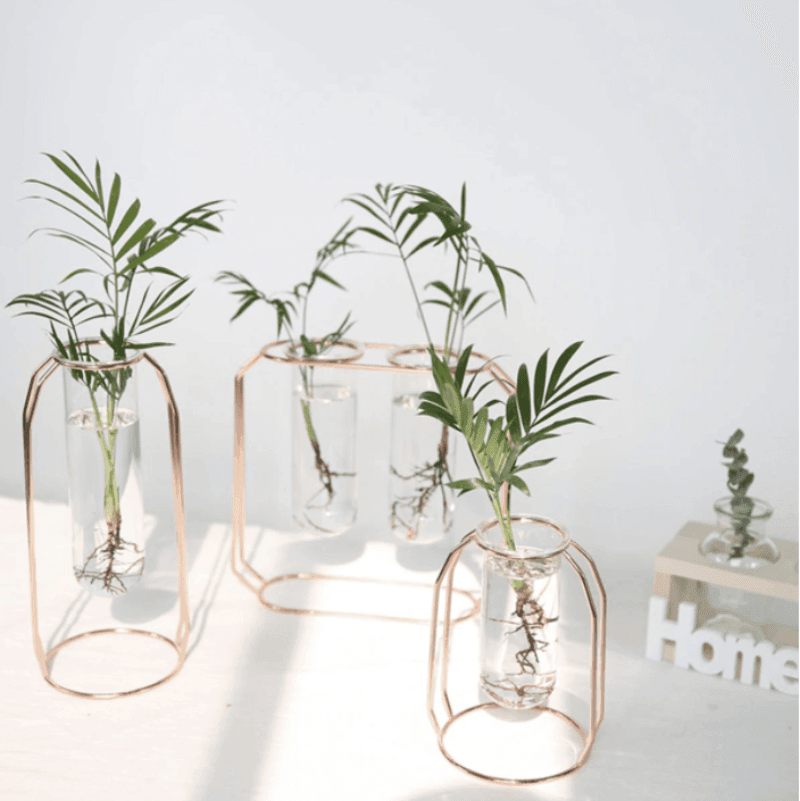 Geometric Floating Iron and Glass Propagation Vase | Sage & Sill