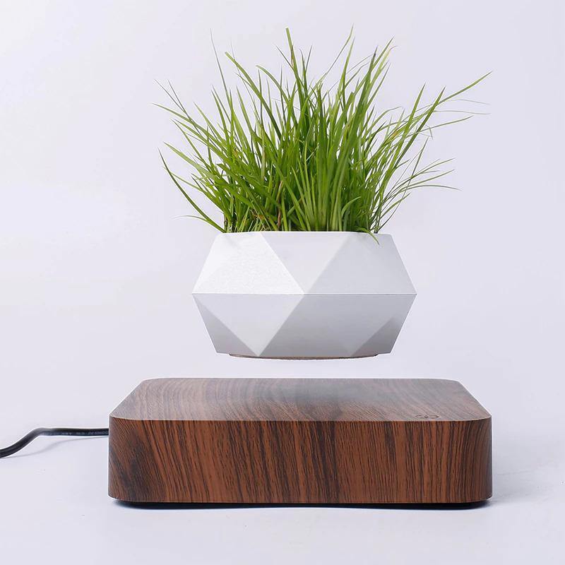 Magnetic Levitating Planter  Decorative Floating Plant Holder – Sage & Sill